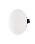 Paradigm CI Home H80-R v2 — із захисною решіткою
