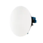 Paradigm CI Home H65-SM v2 — із захисною решіткою