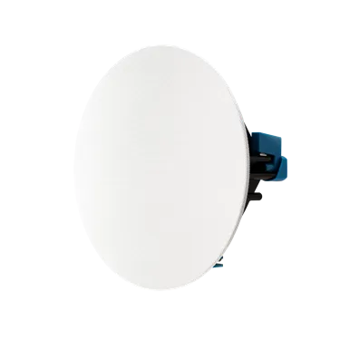 Paradigm CI Home H65-SM v2 — із захисною решіткою
