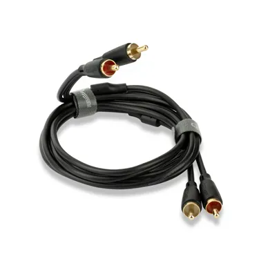 QED QE8101 — Загальний вигляд