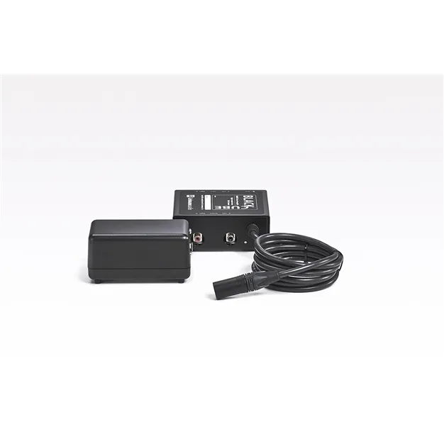 Lehmannaudio Black Cube — Вигляд ззаду