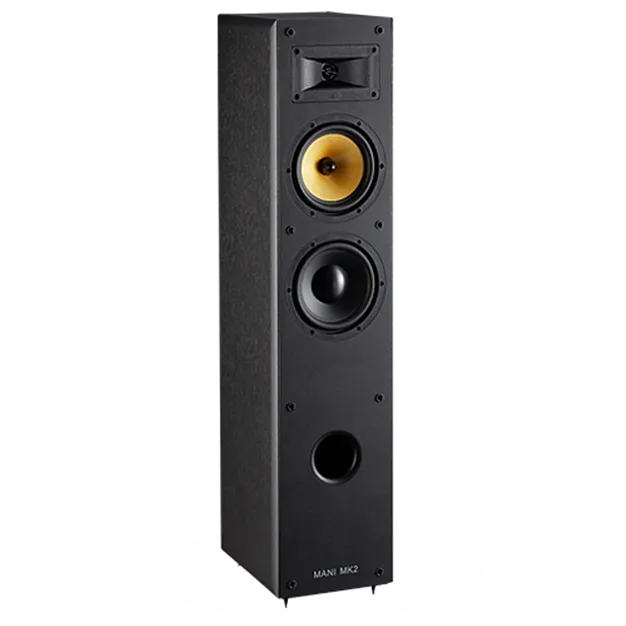 Підлогова акустична система Davis Acoustics Mani MK2, чорний ясен — вигляд без захисної решітки
