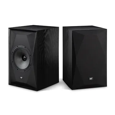 MoFi SourcePoint 8 Black Ash — із захисною решіткою