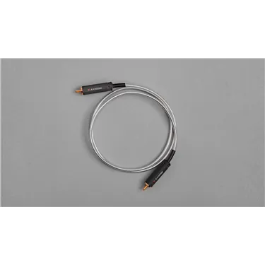 Axxess RCA, 1 m — загальний вигляд