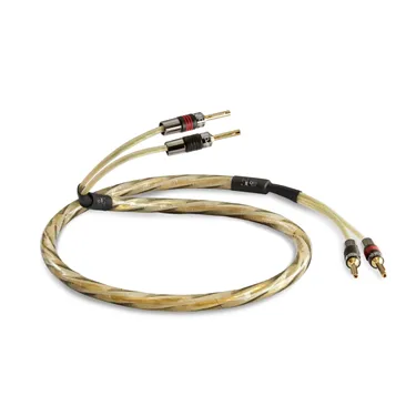 QED Golden Anniversary XT, 5 m, золотистий — загальний вигляд пари