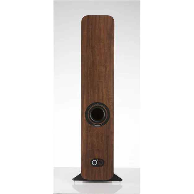 Q Acoustics 3050i, English Walnut — задня панель