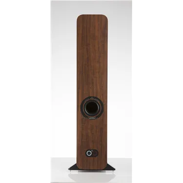 Q Acoustics 3050i, English Walnut — задня панель