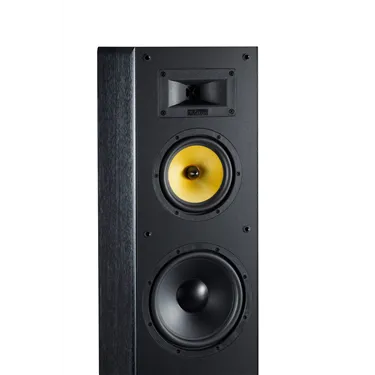 Davis Acoustics Dhavani MK2, чорний ясен — деталь конструкції