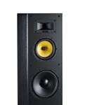 Davis Acoustics Dhavani MK2, чорний ясен — деталь конструкції