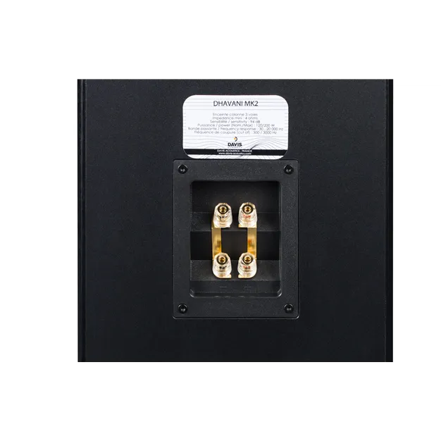 Davis Acoustics Dhavani MK2, чорний ясен — роз’єми підключення