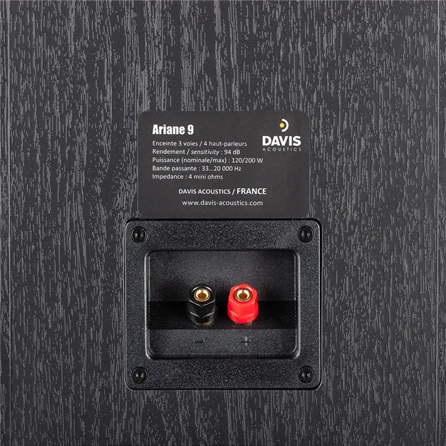 Davis Acoustics Ariane 9, чорний — роз’єми підключення