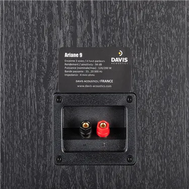 Davis Acoustics Ariane 9, чорний — роз’єми підключення