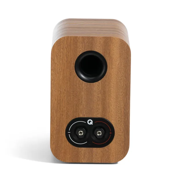 Q Acoustics 3010c, Pin Oak — задня панель