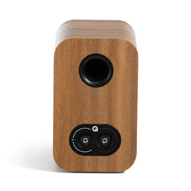 Q Acoustics 3010c, Pin Oak — задня панель