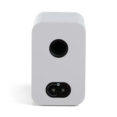 Q Acoustics 3020c, сатиновий білий — задня панель