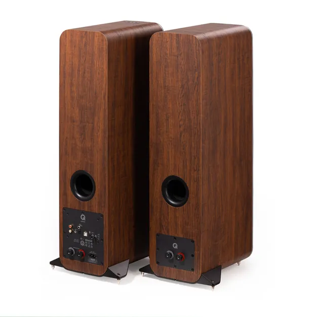 Q Acoustics M40 HD, горіх — задня панель