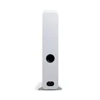 Q Acoustics 3050c, сатиновий білий — задня панель