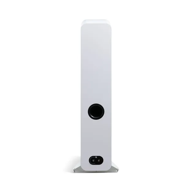Q Acoustics 3050c, сатиновий білий — задня панель