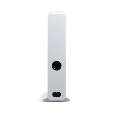 Q Acoustics 3050c, сатиновий білий — задня панель