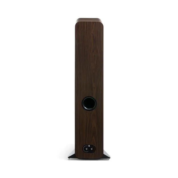 Q Acoustics 3050c, Claro Walnut — задня панель