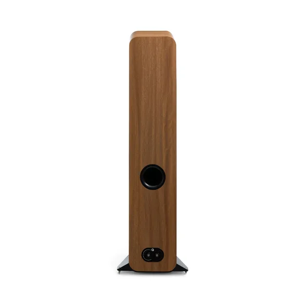 Q Acoustics 3050c, Pin Oak — задня панель