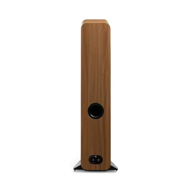 Q Acoustics 3050c, Pin Oak — задня панель