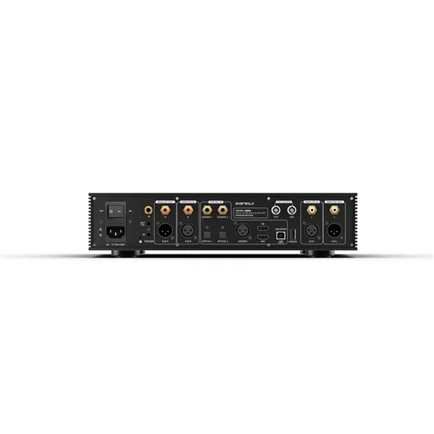 Eversolo DAC-Z10 — задня панель