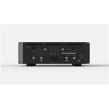 Eversolo AMP-F10 — задня панель