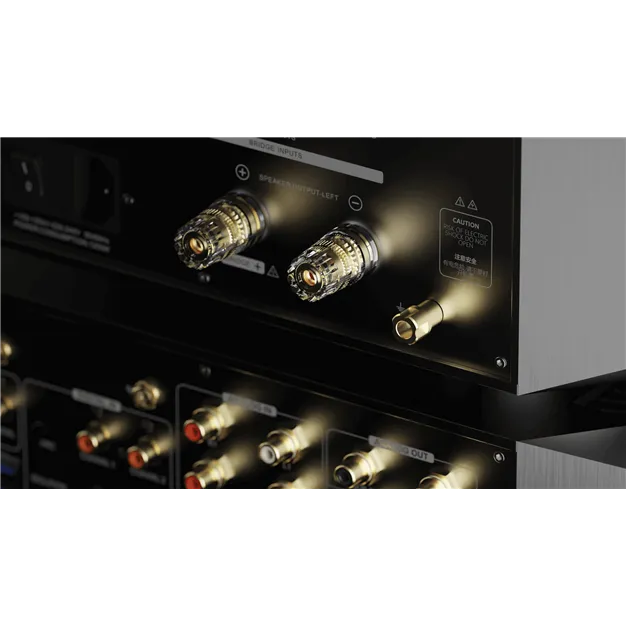 Eversolo AMP-F10 — роз’єми підключення
