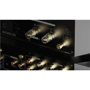 Eversolo AMP-F10 — роз’єми підключення