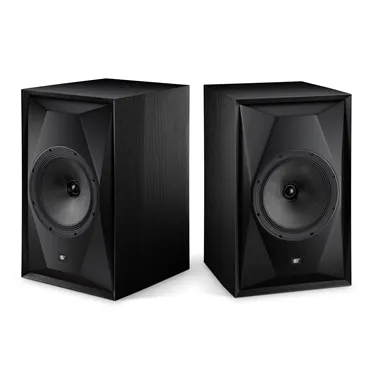 MoFi SourcePoint 10 Master Edition, чорний ясен — загальний вигляд пари
