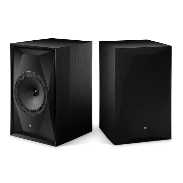 MoFi SourcePoint 10 Master Edition, чорний ясен — вигляд із захисною решіткою