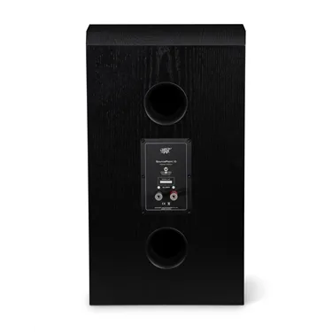 MoFi SourcePoint 10 Master Edition, чорний ясен — задня панель