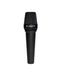 Lewitt MTP W950 — загальний вигляд