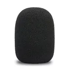 Maximum Acoustics WSR-BK — загальний вигляд