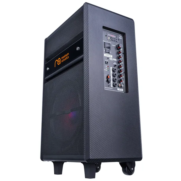 Maximum Acoustics MusicBAND.100 — загальний вигляд
