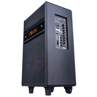 Maximum Acoustics MusicBAND.100 — загальний вигляд