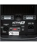 Maximum Acoustics ACTIVE.15 — деталь конструкції