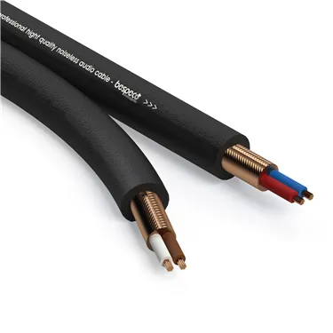 Bespeco B/RF25/2S — загальний вигляд