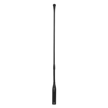 AKG CGN99 C/L — загальний вигляд
