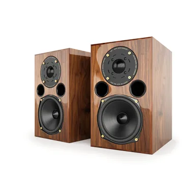 Acoustic Energy AE1 40th Anniversary High Gloss Walnut — пара, вигляд спереду під кутом