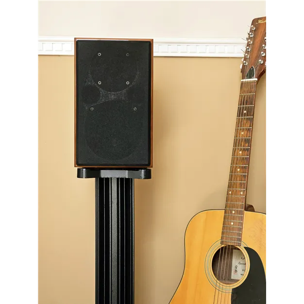 Acoustic Energy AE1 40th Anniversary High Gloss Walnut — в інтер’єрі