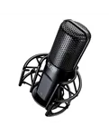 Takstar PC-K750 — загальний вигляд