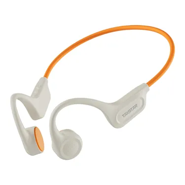 Takstar LR100W Rice Orange 32GB — загальний вигляд