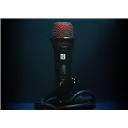 sE Electronics V2 SWITCH XLR - загальний вигляд