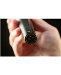 sE Electronics V7 PTT — вихід XLR