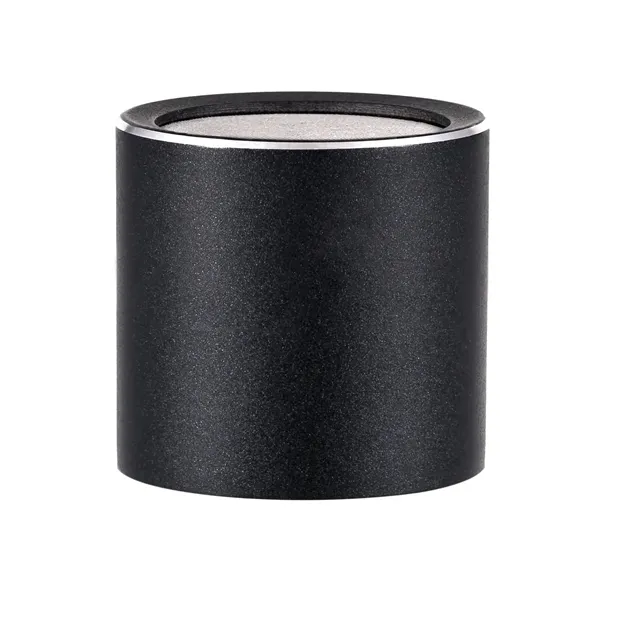sE Electronics sE8 Omni Capsule (P) — один капсуль крупним планом