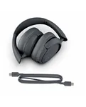 JLab JBuds Lux ANC Graphite — Навушники та комплектні аксесуари