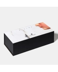 Роутер Devialet Dialog для керування 24 Phantom