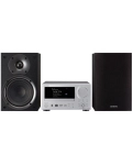 Мережа MultiRoom CD-міні система Onkyo CS-N575D Silver-Black